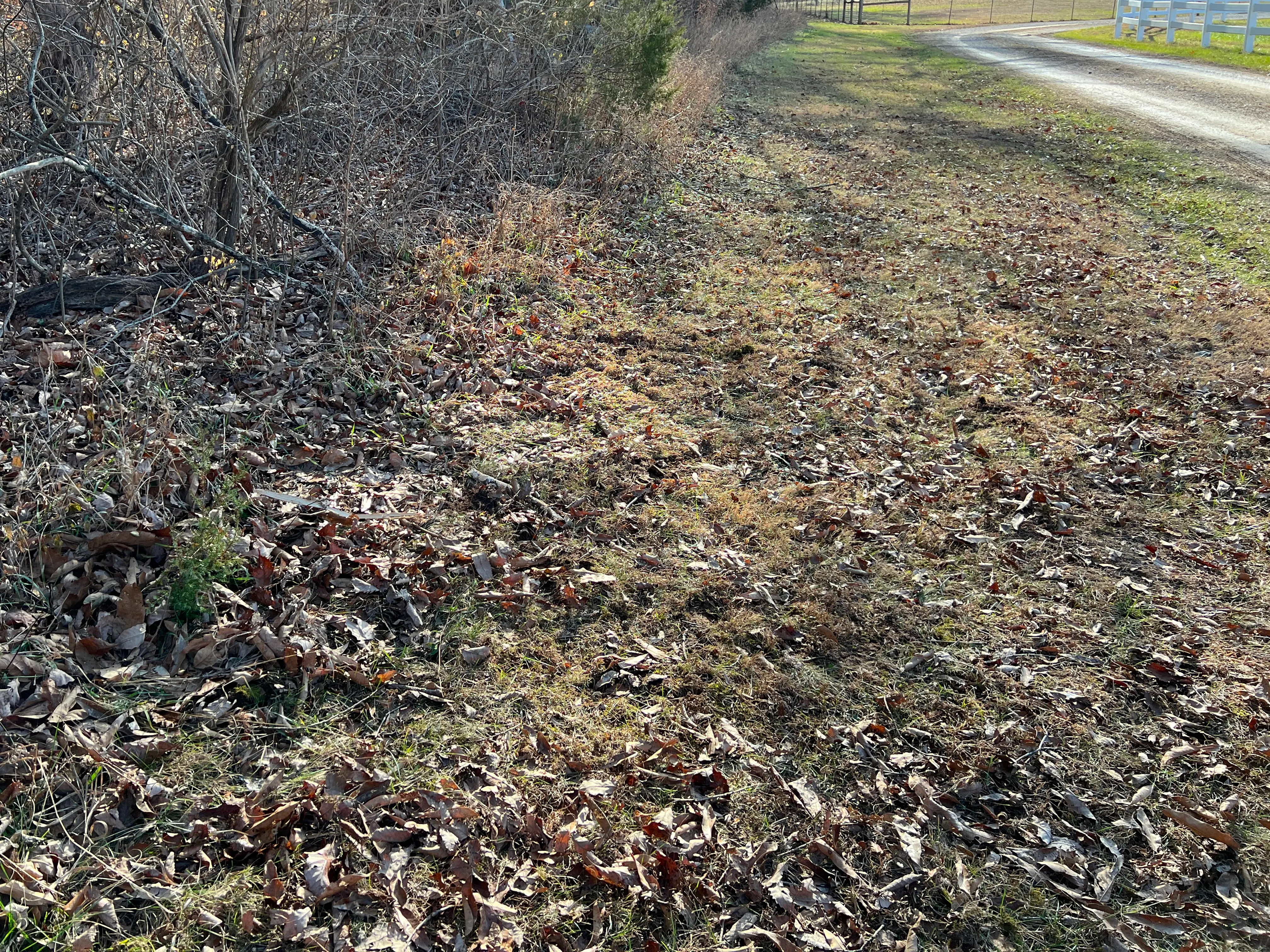 After cleanup - Job 3